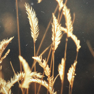 美女被淦图片视频在线观看老师
