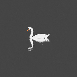 美女被淦图片视频在线观看老师
